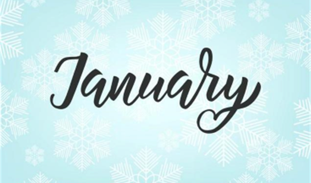 Ismay Realty Group January Newsletter